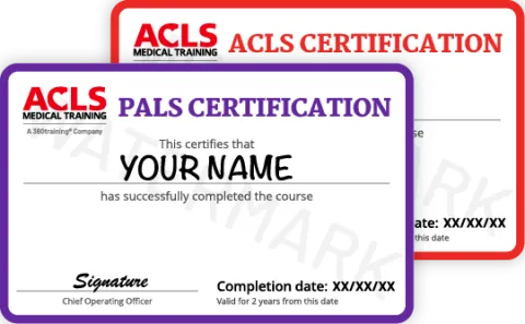 ACLS PALS Card