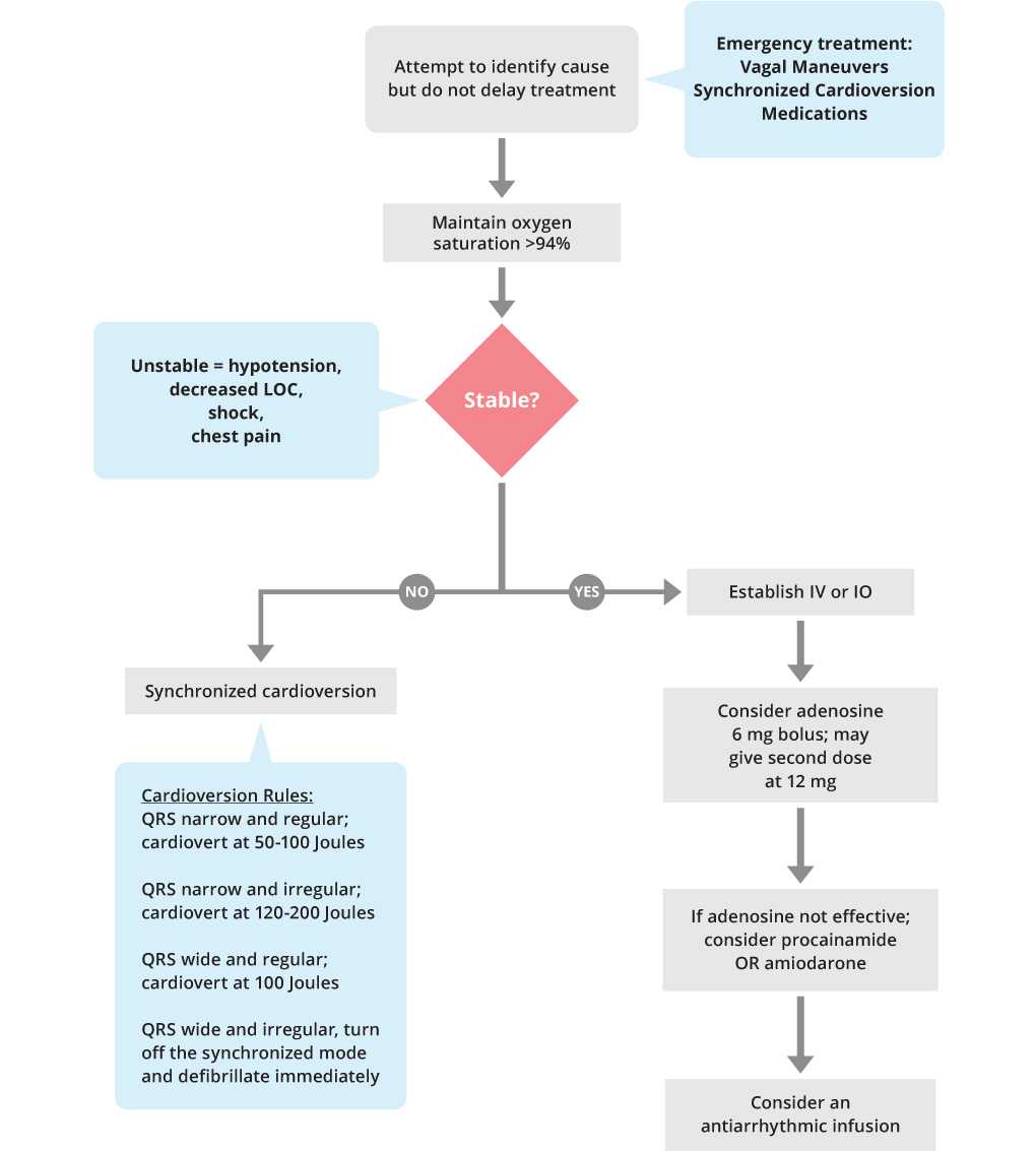 read Pathogenesis and Treatment