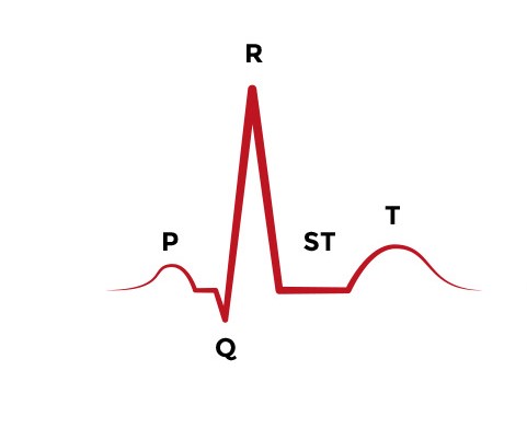 The Basics Of Ecg Acls Medical Training