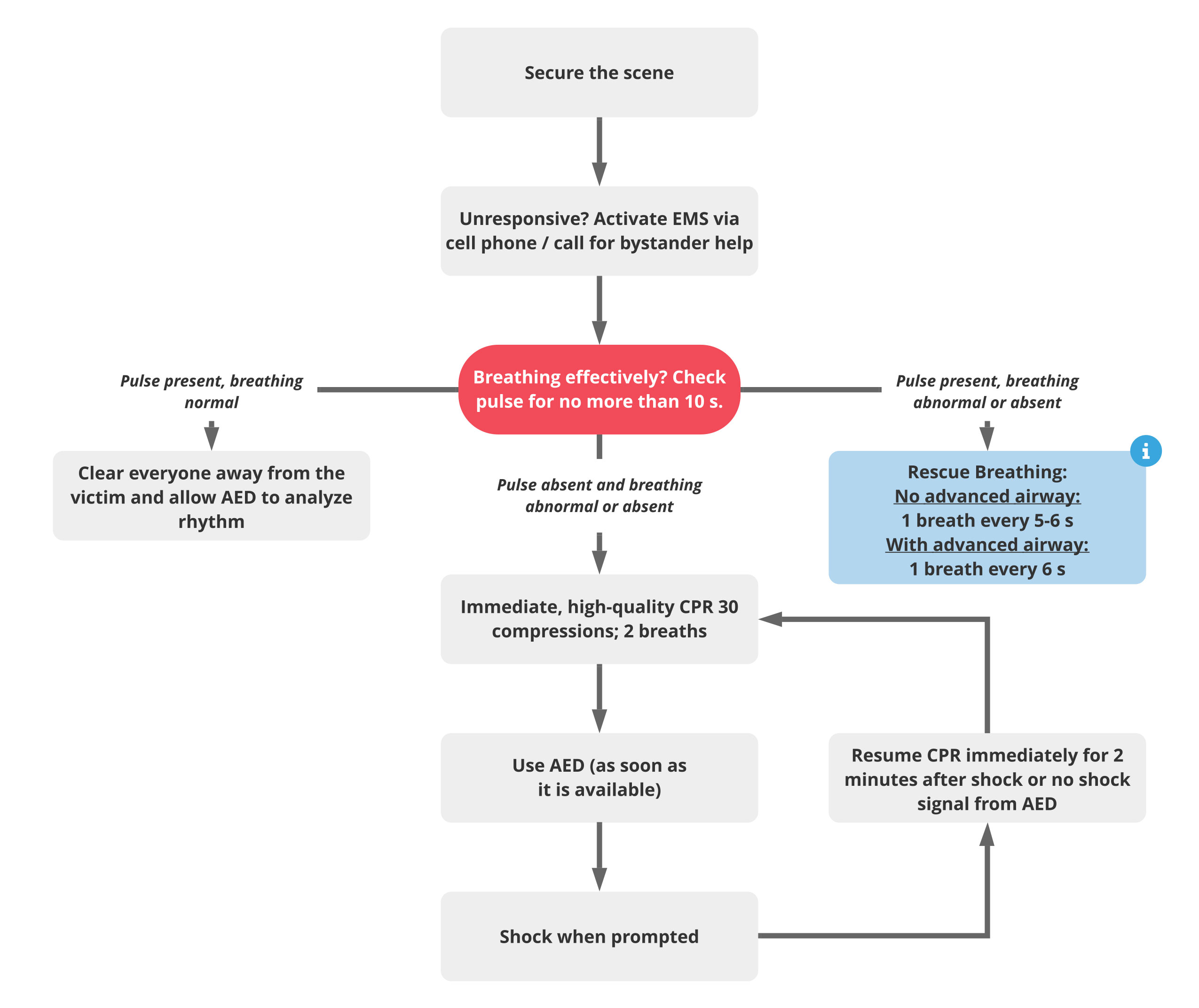 1-BLS-Adult-Algorithm